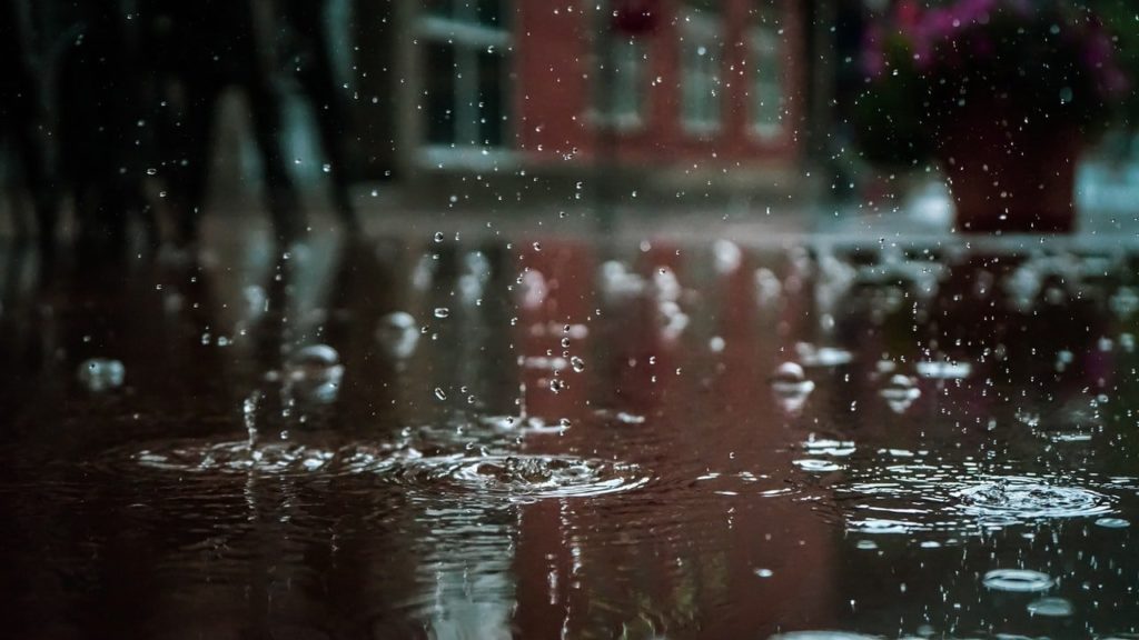 What to Consider When Planning Your Policy | Rain Insurance Cost