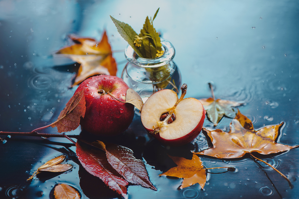 autumn fall red apples in rain warning about having a fall festival planning checklist