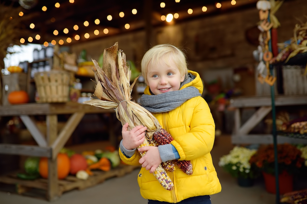 glad boy in yellow jacket holding corn at one of the best fall festivals