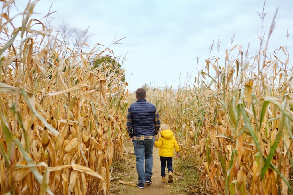 Do You Need Weather Insurance or Traditional Event Insurance?