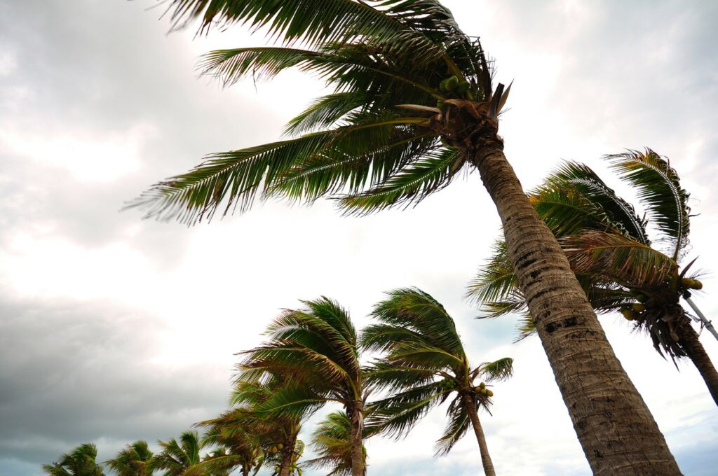 A Comprehensive Guide to Protecting Your Business this Hurricane Season