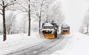 sow plow on a snowy day